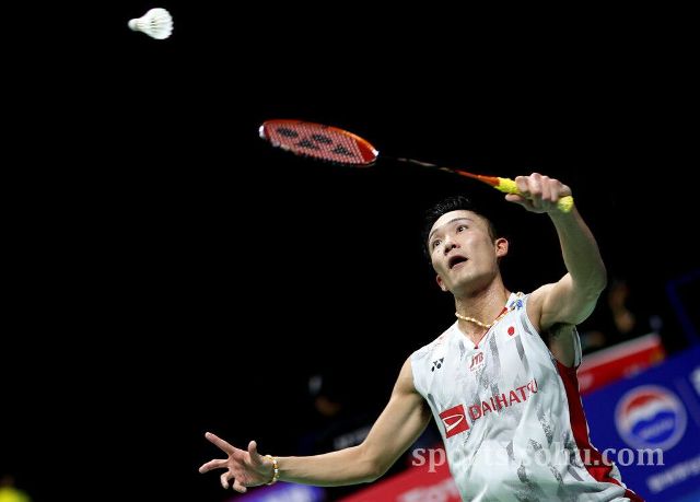 他们将继续 他们将继续