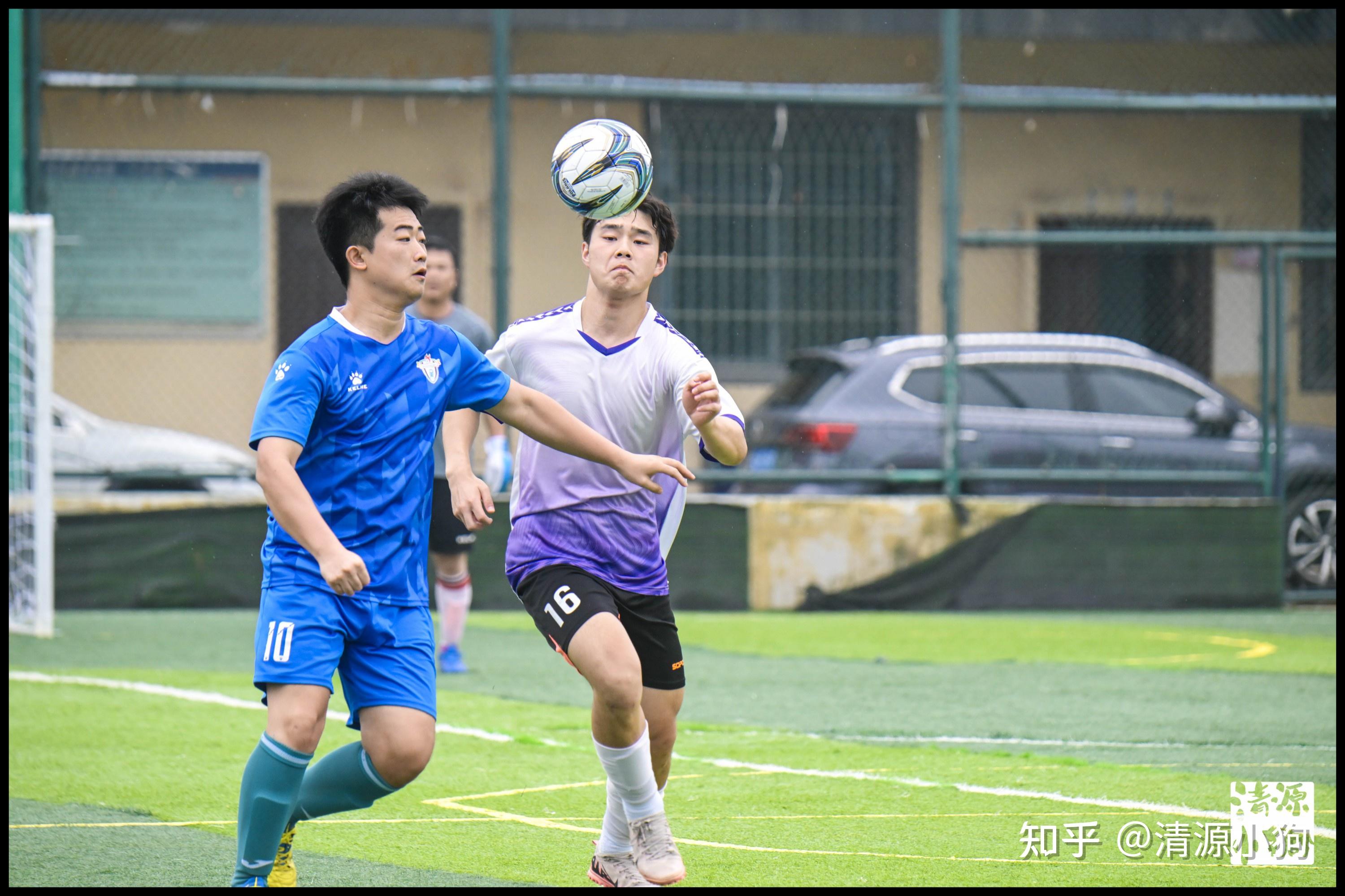 莱斯特城主 莱斯特城主