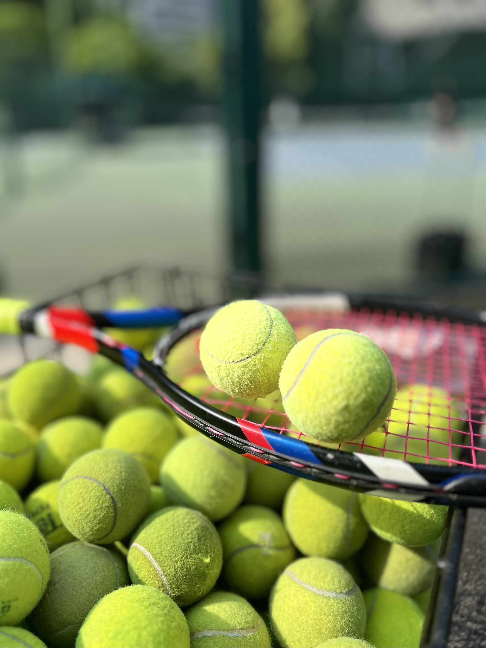 对于胜负彩 对于胜负彩